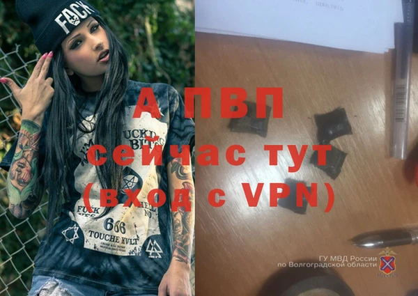 спиды Абаза