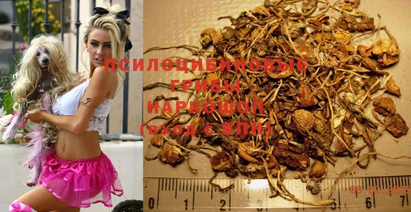 гидропоника Абинск
