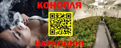 наркотики Гудермес