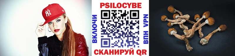 цены   Дятьково  Псилоцибиновые грибы ЛСД 