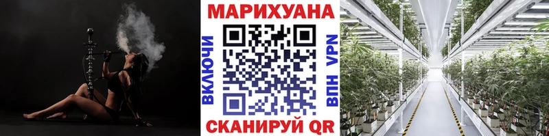 Шишки марихуана конопля  omg маркетплейс  Дятьково  дарнет шоп 